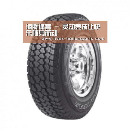 海豚直播app最新版nba产品名称七
