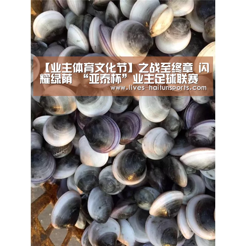 【业主体育文化节】之战至终章 闪耀绿荫 “亚泰杯”业主足球联赛圆满收官!-海豚直播app最新版nba(图1) 海豚直播nba直播免费观看