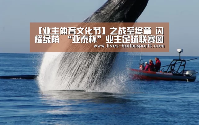 【业主体育文化节】之战至终章 闪耀绿荫 “亚泰杯”业主足球联赛圆满收官!-海豚直播app最新版nba(图2) 海豚直播体育