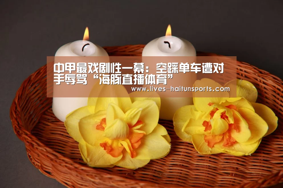 海豚直播体育